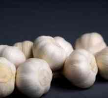Garlic: korist ili štetu