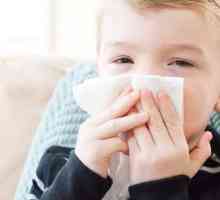 Šta ako dijete ima curenje iz nosa? Tretman folk sredstava - to je odličan način!