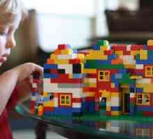 Ono što se može izgrađen od "Lego"? Ideje i opcije