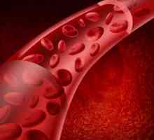 Čime se osigurava kontinuitet kretanja krvi kroz sudove? Kontinuitet i uzrokuje protok krvi