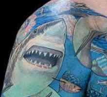 Šta znači tetovaža "Shark"?