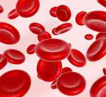 Ono što podiže hemoglobina, i koju hranu treba uključiti u vašoj ishrani?