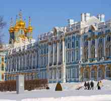 Što vidjeti i gdje ići u Sankt Peterburgu u zimu?