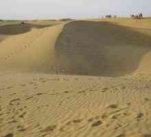 To najavljuje pijesak? Dream knjiga daje odgovor