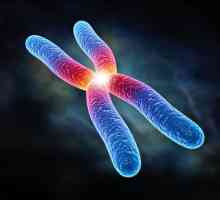Ono što je kromosom? Set hromozoma. Jedan par hromozoma