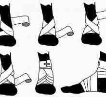 Ono što je langetka peške? Kako se prijaviti langetku pješice, pete, koljena ili gležnja?