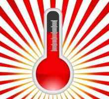 Ono što je termometar? kratak opis