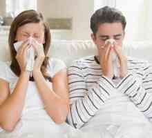 Šta treba da znate o virus gripa?