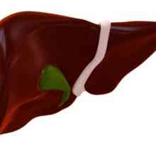 Ciroze jetre - je izlječiva ili ne? Kako zaustaviti ove bolesti?