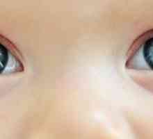 Boja očiju djeteta: tabeli. Kako odrediti boju očiju djeteta