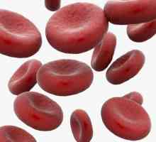 Indeks boja krvi: pojam, izračunavanje i tumačenje rezultata