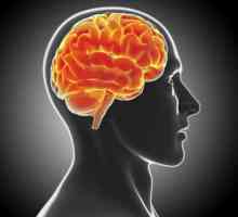 Demijelinizacione bolesti mozga: tretman, prognoze i simptomi