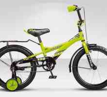 Dječje bicikle Stels: pregled, modeli, funkcije i recenzije