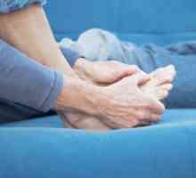 Dijeta za giht i artritis: Menu