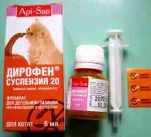 "Dirofen" (suspenzija): anthelmintik droga za životinje