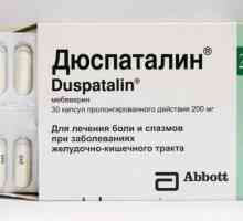 "Duspatalin": analogni jeftiniji ruski, uputstva za upotrebu