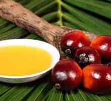 Za dodatak na hranu i dojenĉad palminog ulja? Ono što čini ovaj proizvod, koje su njegove koristi i…