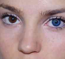 Koje su plave leće za smeđe oči?