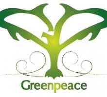 Zašto se uspostavi "Greenpeace". Međunarodna organizacija "Greenpeace"