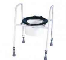 WC za invalide: tehničke karakteristike stolice-WC