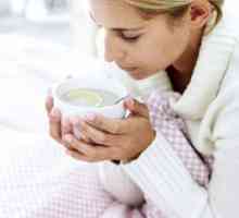 Da biste spriječili gripe i prehlade medicine: popis najboljih