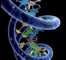 DNA sinteze - to je lako!
