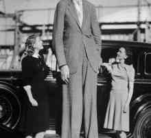 "Dobro Giant", "ukrajinski Guliver" i najviši čovjek na svijetu