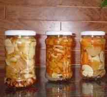 Domaći pripreme za zimu: krastavac maslac gljive, recept za recept