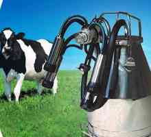 Početna muzilica za krave: savjete o odabiru i recenzije