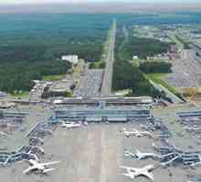 Domodedovo Aerodromi shema, terminali, infrastruktura