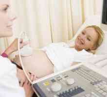 Doplerography pregled u trudnoći