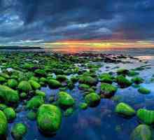 Zanimljivosti Island: priroda, klima i zanimljivosti