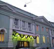 Gogol dramsko pozorište: povijest i repertoar