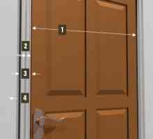 Vrata: veličinu i karakteristike montažnu kutiju