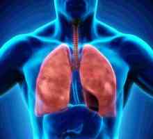 Respiratornog sistema: struktura organa. Plućne maramice - je ... Pleuralna šupljine svjetlo