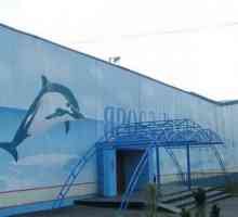 Ako dođete u Jaroslavlj, a Dolphinarium ne zaboravite posjetiti!