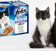 "Felix" (hrana za mačke): komentari i veterinara kupac