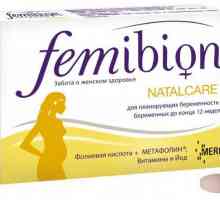 "Femibion ​​-1": sastav. "Femibion" za trudnice: instrukcije, recenzije