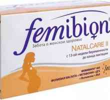 "Femibion ​​2": sastav, analoge i povratne informacije. Vitamini za trudnice…