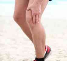 Hvatači za zglob koljena za sport