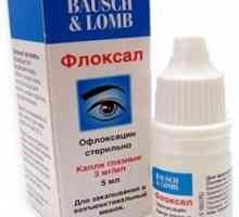 "Floksal" - kapi za oči. Uputstva za upotrebu u liječenju konjuktivitisa