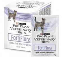 "Fortiflora za mačke": uputstva za upotrebu