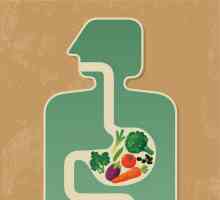 Gdje hranjive tvari ulaze u krvotok kod ljudi?