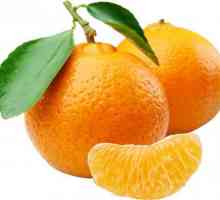 Gdje naranče rastu u kojoj zemlji?