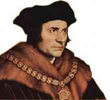Genijalno Thomas More. "Utopija": sažetak