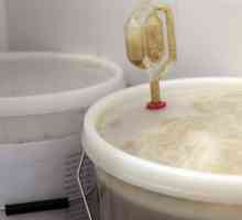 Sifonu za fermentaciju: svrhu i karakteristike