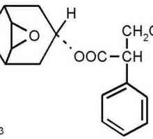 Hyoscine butilbromid: opis, svojstva, primjena