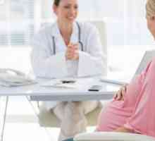 Hyperechoic crijeva u fetusa: Šta je to?