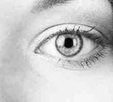 Kapi za oči "taurin": odgovori pacijenata i liječnika