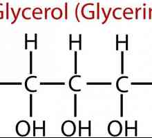 Glicerin i njegove primjene. hrane glicerin